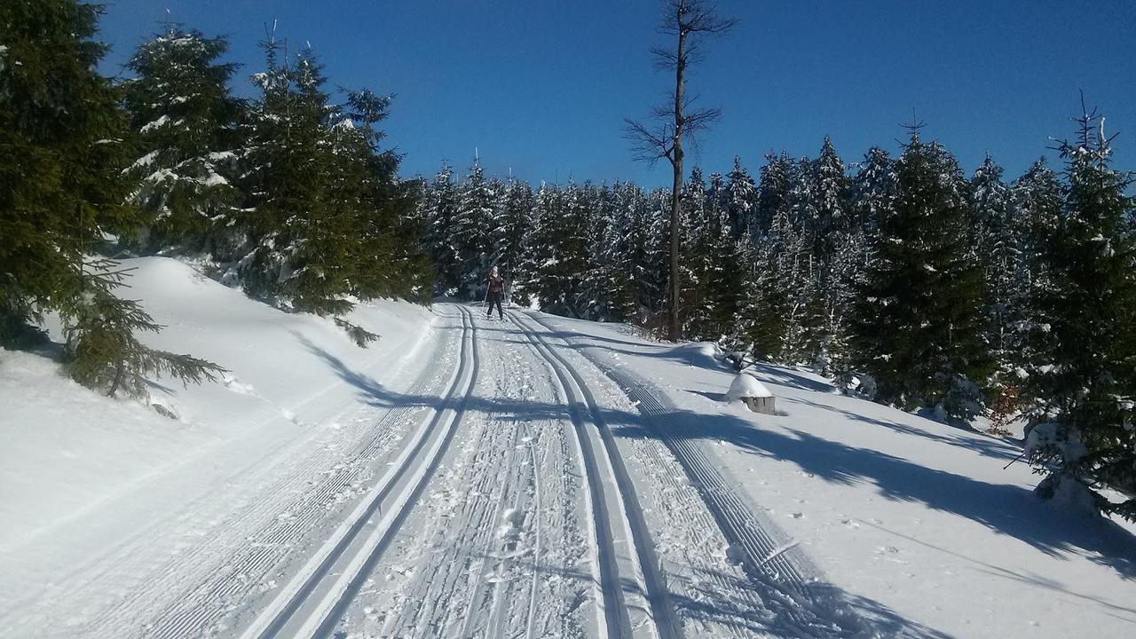 Penzion Eliska Petrikov  Bagian luar foto